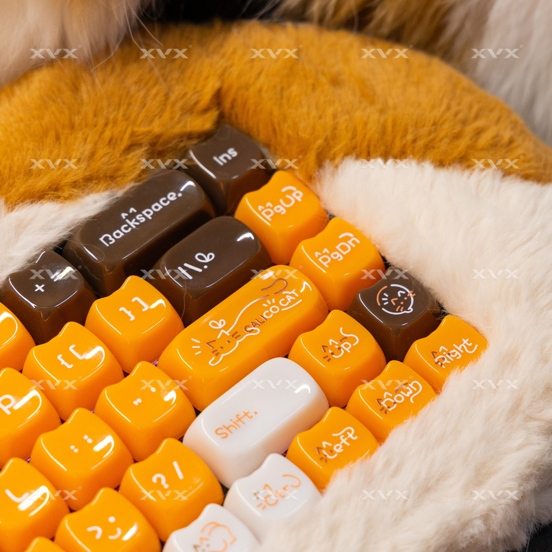 XVX House Cat MAO Profile Keycaps Set