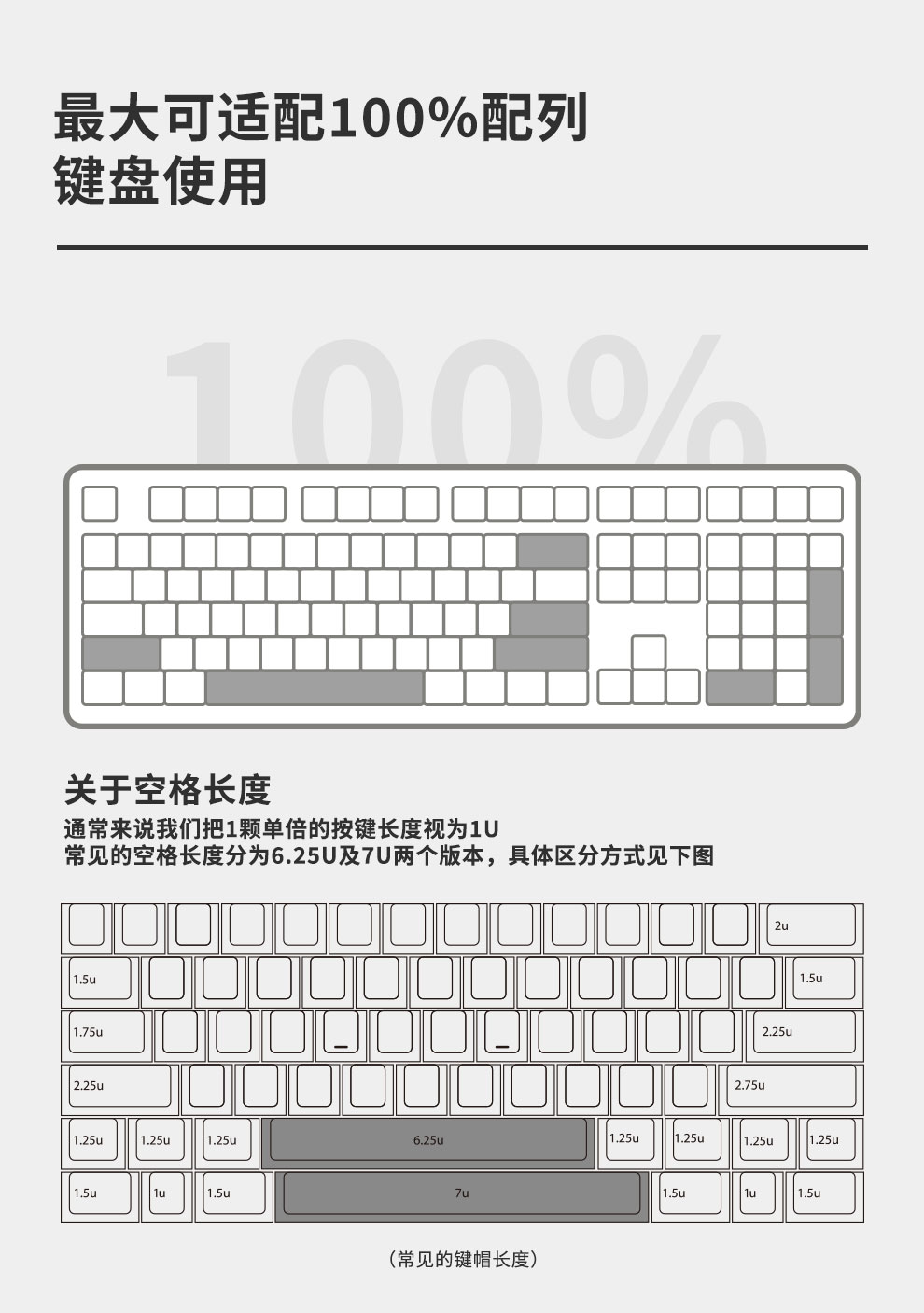DesignerStudio Plate Stabs (100%) Clip-on