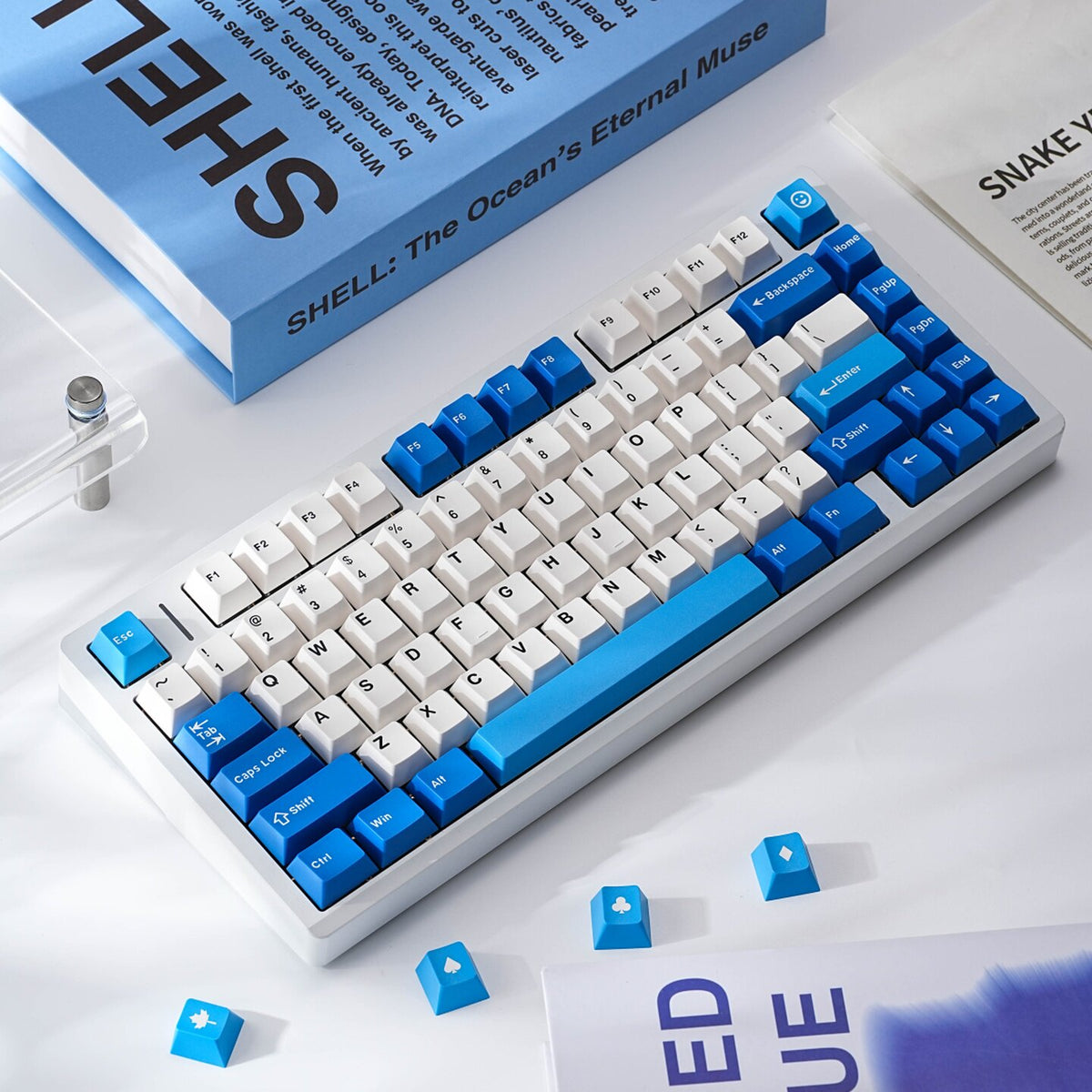PBT Keycaps Double-Shot — Blue Ocean Sequence Set, 171 Keys