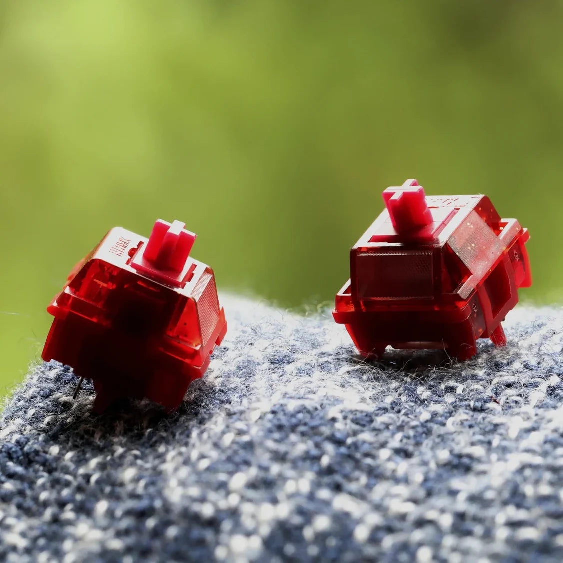 HMX Blossoms Linear Switches