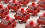 HMX Blossoms Linear Switches